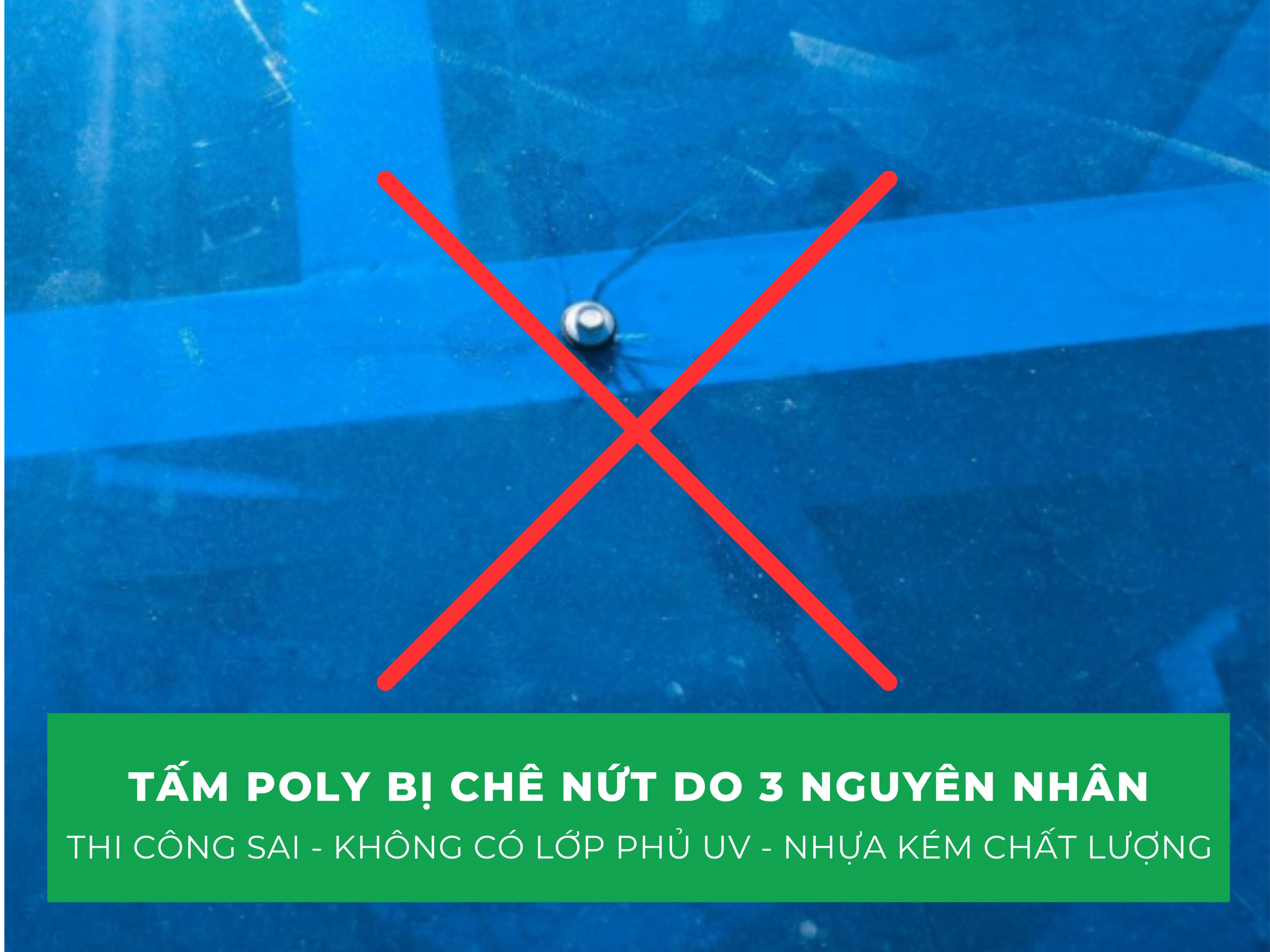 Tấm poly bị chê nhiều, vì sao vẫn xuất hiện trong các công trình biểu tượng?