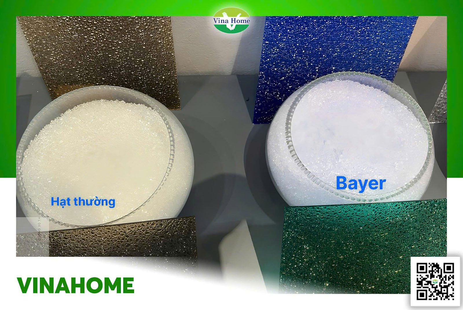 Tấm Poly nhựa Bayer Đức – Tại sao lại “đáng tiền” hơn nhựa thường?