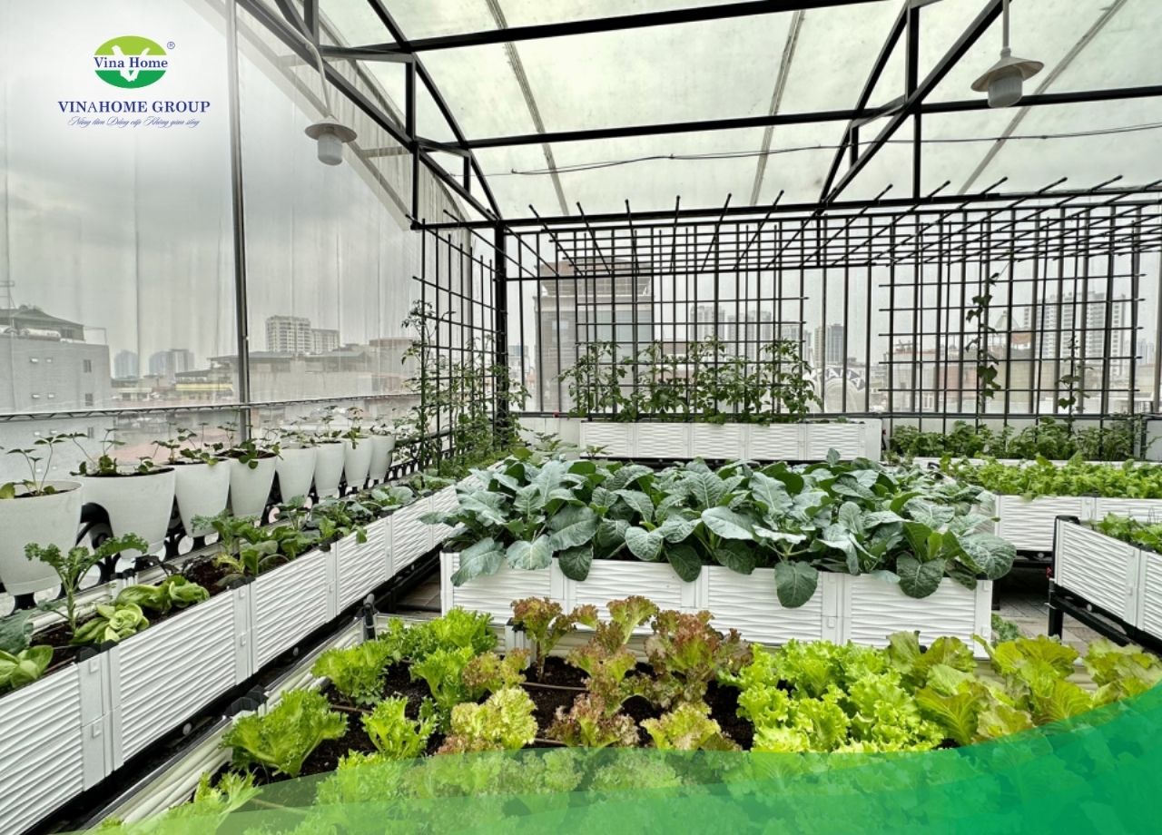 Tấm poly ứng dụng lắp đặt sân vườn, sân thượng trồng rau, trồng hoa